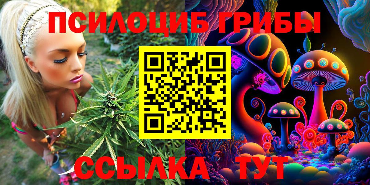 Псилоцибиновые грибы мухоморы  Псилоцибиновые грибы мухоморы  Вход с VPN  магазин продажи наркотиков  Урус-Мартан 