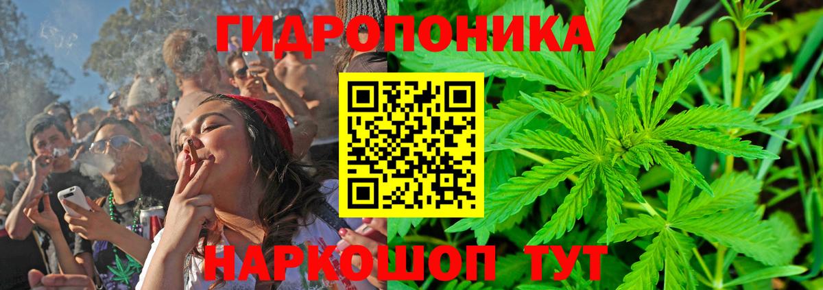 Бошки Шишки тримм Урус-Мартан